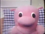 البدايات المضيئة