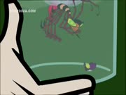 كريبي والحشرات