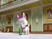 دوريات المخلاب الموسم 4