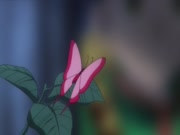 هنتر x هنتر 2011