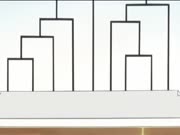 هنتر x هنتر 2011