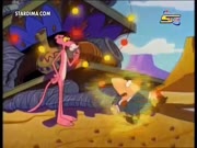 النمر الوردي 2017