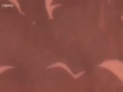 ارمسترونغ المرن وابطال الفليكس الجزء 2