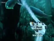 خفايا اعماق المحيط الجزء 1