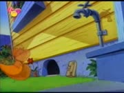 ابناء توم وجيري