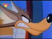 ابناء توم وجيري