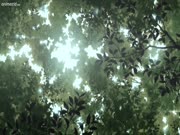 بوروتو: الأجيال القادمة من ناروتو