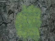 بوروتو: الأجيال القادمة من ناروتو