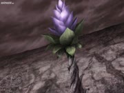 بوروتو: الأجيال القادمة من ناروتو