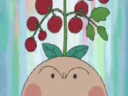 ظريف الطريف