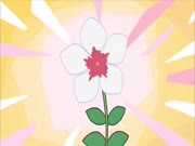 ظريف الطريف