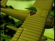 الأجنحة الصينية