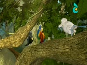 فيبو والاصدقاء في جزيرة الزمن