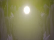 بليتش الموسم 2