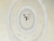 بليتش الموس 8