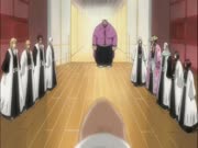 بليتش الموس 14