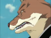 بليتش الموس 14