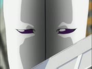 بليتش الموس 14