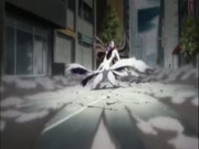 بليتش الموس 14