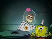 سبونج بوب الموسم 11